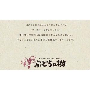 送料無料 ぶどうの樹 名もなきチーズケーキ ス...の詳細画像2