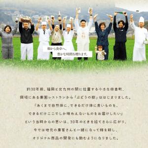 送料無料 ぶどうの樹 名もなきチーズケーキ ス...の詳細画像3