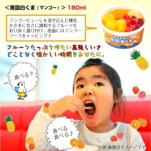 南国白くま マンゴー 詰合せセット(S&amp...の詳細画像3