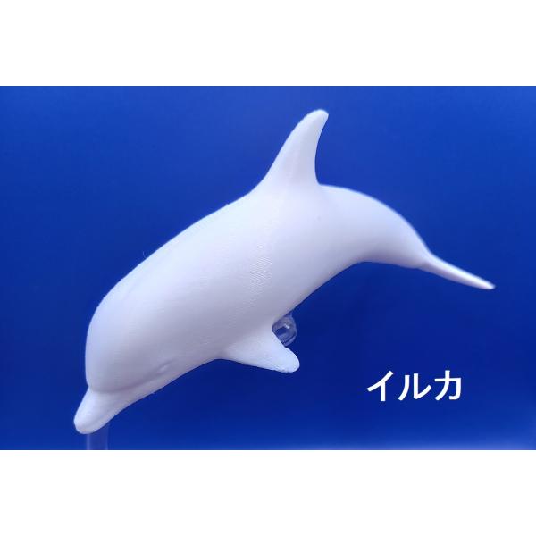 「立体ぬりぬり」イルカ 動物シリーズ 自由に 世界に1つ 自分だけの フィギュア 置物　立体ぬりえ