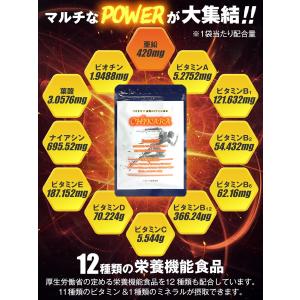 CHIKARA チカラ マカ 14,400mg...の詳細画像2