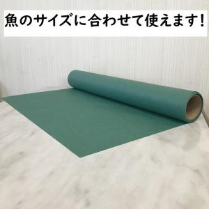 グリーンパーチ ロール 50m ボックスタイプ...の詳細画像4