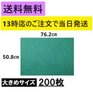 おさかなパックン　グリーンパーチ 半才 耐水紙グリーン 200枚