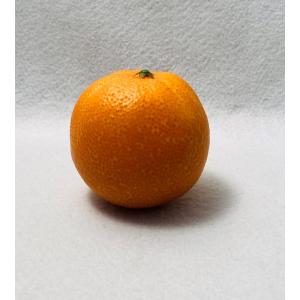 オレンジ　食品サンプル　果物　偽物　イミテーションフルーツ　仏具　お供え物　　果実　仏壇　　フェイク　お供え