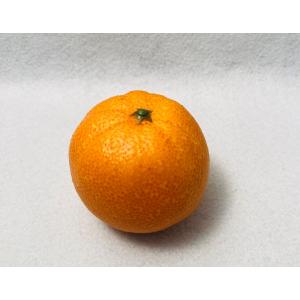 オレンジ 食品サンプル 果物 偽物 イミテーシ...の詳細画像1