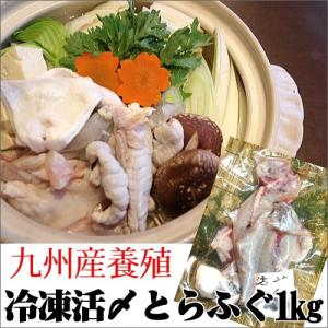 活〆とらふぐ1ｋｇ 冷凍 (約6人前)九州産養殖 【お鍋】【てっさ】｜hamadayori