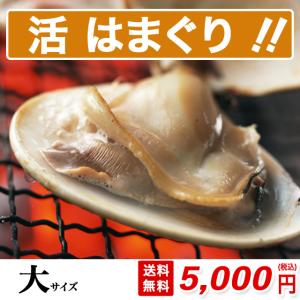 はまぐり 大サイズ 700g 2人分 約10粒 砂抜き済み 送料無料 桑名 畜養 中国産 約60g-80gの貝 焼き ハマグリ お食い初め お吸い物 はまぐりの丸元水産 高級ギフト｜hamagurimarumoto