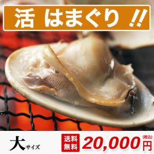 はまぐり 大サイズ 5kg 約70粒 砂抜き済み 送料無料 桑名 畜養 中国産 約60g-80gの貝 焼き ハマグリ お食い初め お吸い物 はまぐり丸元水産 高級 ギフト｜hamagurimarumoto