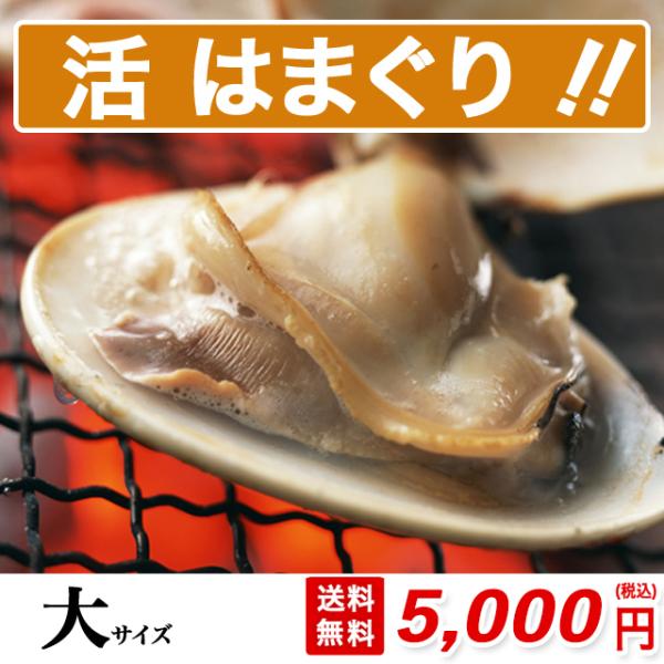 はまぐり 大サイズ 700g 2人分 約10粒 砂抜き済み 送料無料 桑名 畜養 中国産 約60g-...