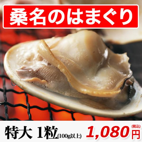 桑名 はまぐり 特大サイズ 1粒〜 粒数指定OK 砂抜き済み 国産 はまぐり 100g以上の貝 焼き...