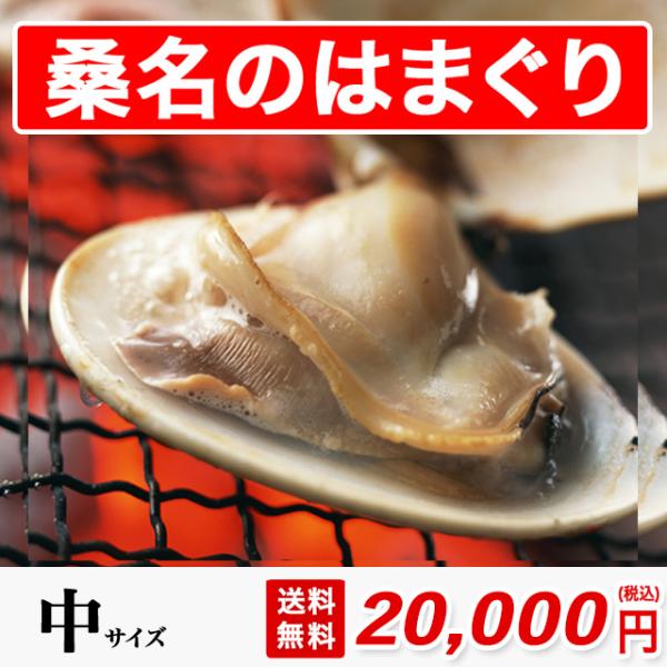 桑名 はまぐり 中サイズ 2300g 約58粒 砂抜き済み 送料無料 国産 約5.5cmの貝 はまぐ...