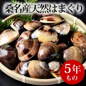 桑名産天然はまぐり ５年もの (5kg) 業務用 送料無料 はまぐり屋 活はまぐり 国産はまぐり 地はまぐり 活き蛤 地蛤 BBQ バーベキュー お中元・お歳暮ギフト｜hamaguriya-kuwana