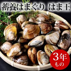 蓄養はまぐり はま王 ３年もの (500g) はまぐり屋 活はまぐり 国産はまぐり 地はまぐり 活き蛤 地蛤 BBQ バーベキュー お中元・お歳暮ギフト｜hamaguriya-kuwana