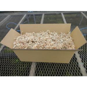 　プロ使用　ニュージーランド産５Ａクラス