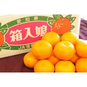 味好鳥みかん（あじこうちょう）通販 お歳暮長崎県諫早産蜜柑 袋入 約