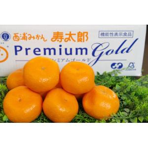 寿太郎みかん Lサイズ10kg ラブライブ！サンシャイン!! コラボ