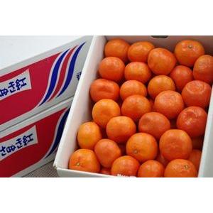 金時紅みかん通信販売 お歳暮香川県みかんに。小原紅早生は果皮・果肉