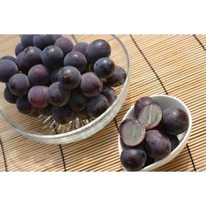 ピオーネ葡萄通信販売 大粒系の黒ぶどうを販売取...の詳細画像1