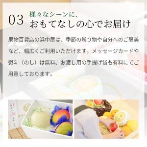 ピオーネ葡萄通信販売 大粒系の黒ぶどうを販売取...の詳細画像5