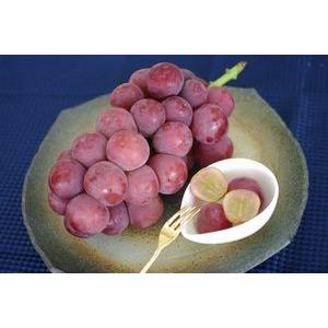 果物百貨店 浜中屋 ゴルビーぶどう 長野 山梨 その他の産地 ぶどう Yahoo ショッピング