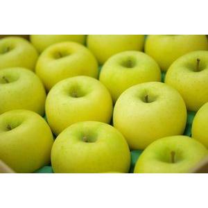 シナノゴールドりんご取寄販売 爽やかな酸味が特徴のシナノりんごを通販で。約5ｋｇ 約14玉〜約18玉 山形・長野・他産地｜hamanakayalive