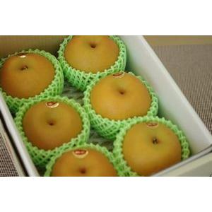 訳あり 新高 約7．5キロ ジャンボ梨 熊本 荒尾 6〜12玉入り ご家庭用