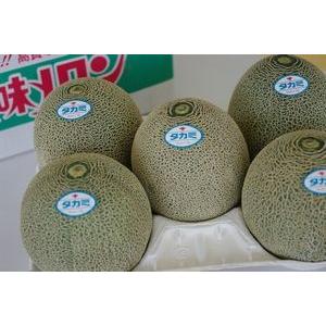 果物百貨店 浜中屋 立体栽培 タカミメロン 熊本県産 メロン 熊本県産 Yahoo ショッピング