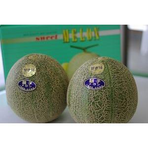 銚子アムスメロン通販 千葉産。甘さ16を販売取寄。糖度16以上 果物ギフト 2玉