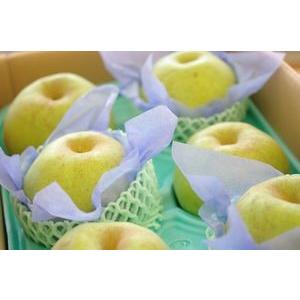 かおり梨　香梨　通信販売 独特の香りのを販売取寄。約5ｋｇ 約5玉〜約10玉　長野・山形・他産地