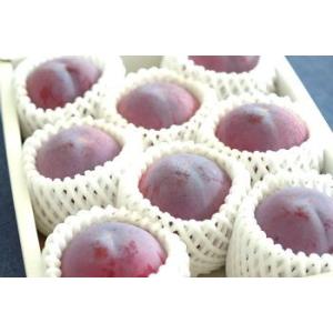 貴陽(きよう)プラム通販 きようすもも李を御中元...の商品画像