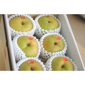 秋 ギフト 新甘泉 贈答 赤秀品 5〜7玉 約1.8kg 鳥取県産 JA 鳥取中央