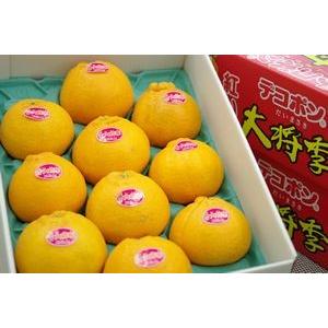 鹿児島県産　デコポン  大将季　10玉ご家庭用 楽天市場】デコポン最高級品 大将季（だいまさき）3キロ箱 7~12