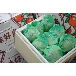 味好鳥みかん(あじこうちょう)通販 お歳暮長崎県諫早産蜜柑 袋 味好鳥みかん(あじこうちょう)通販 お歳暮長崎県諫早産蜜柑 袋