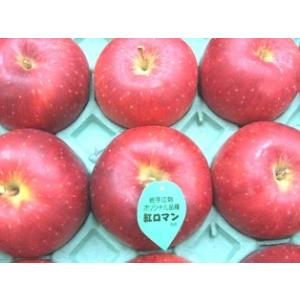紅ロマンりんご 岩手県産の新品種 中箱約8玉〜約12玉