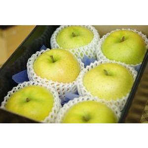 トキりんご通販 奇跡の出会いで誕生した青りんごを販売取寄。小箱 約5玉〜約6玉 青森・長野・他産地｜hamanakayalive