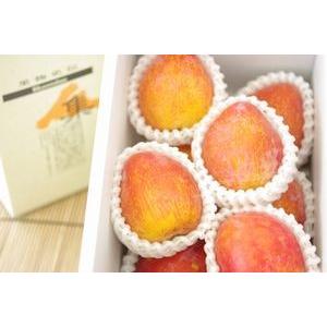 月光(げっこう)プラム通販 幻のすもも李を販売取...の商品画像