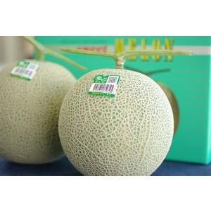 茨城産 アンデスメロン プレミアム 極 糖度18度以上 2L~4Lサイズ 3玉~5