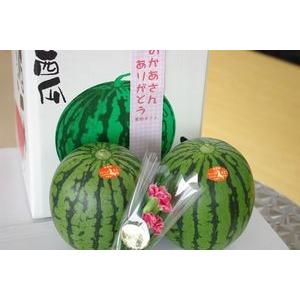 母の日西瓜ギフト通販 小玉すいかをプレゼントに。...の商品画像