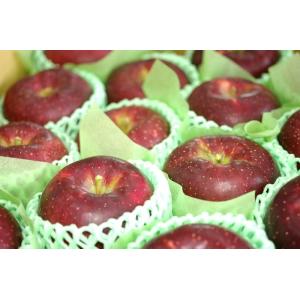 シナノホッペ林檎取寄販売 真っ赤に色づく長野限定りんごを通販で。約5ｋｇ 約14玉〜約18玉 長野産｜hamanakayalive