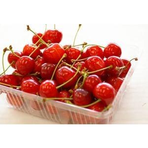プレミアムチェリー 約2.5kg 産地箱 大粒 チリ産 空輸 高品質な濃い