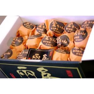 高級みかん 夢味 熊本県産 越冬袋掛けみかん 特選 約3kg 大サイズ 約35