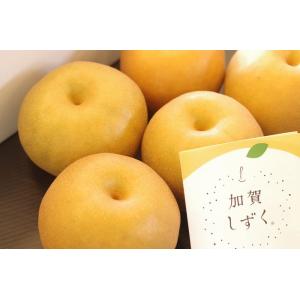 加賀しずく 石川県オリジナルの和梨 約3玉〜約5玉