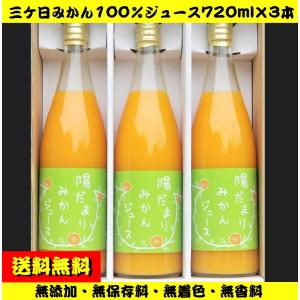 送料無料　静岡県三ケ日青島みかん100％ジュース 720ml×3本　
