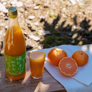 送料無料 静岡県三ケ日青島みかん100%ジュー...の詳細画像4