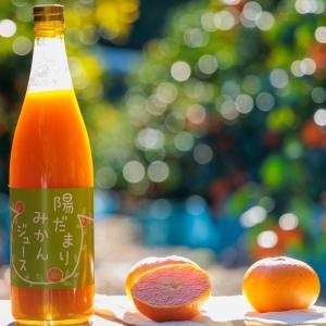 送料無料 静岡県三ケ日青島みかん100%ジュー...の詳細画像5