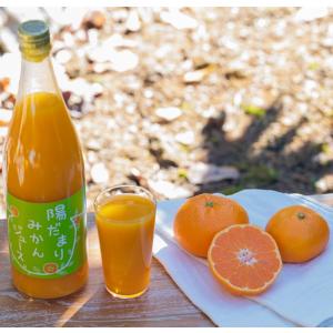 送料無料 三ケ日青島みかん100%ジュース 7...の詳細画像4