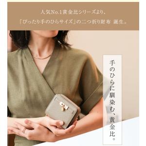 【傳濱野】ぴったり手のひらサイズの黄金比二つ折...の詳細画像1