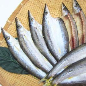 カマスひらき 干物 塩干し 大2枚 産地直送 尾鷲市 九鬼町 紀州 国産 無添加 ひもの 魚介 かます