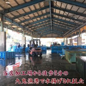 シイラ 干物 塩干 3〜4枚 産地直送 尾鷲市...の詳細画像2