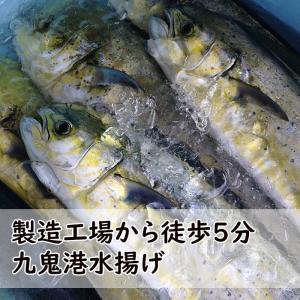 シイラ 干物 塩干 3〜4枚 産地直送 尾鷲市...の詳細画像1